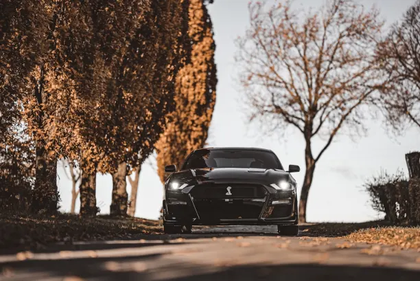 Lion Wins Casino Android/iOS App